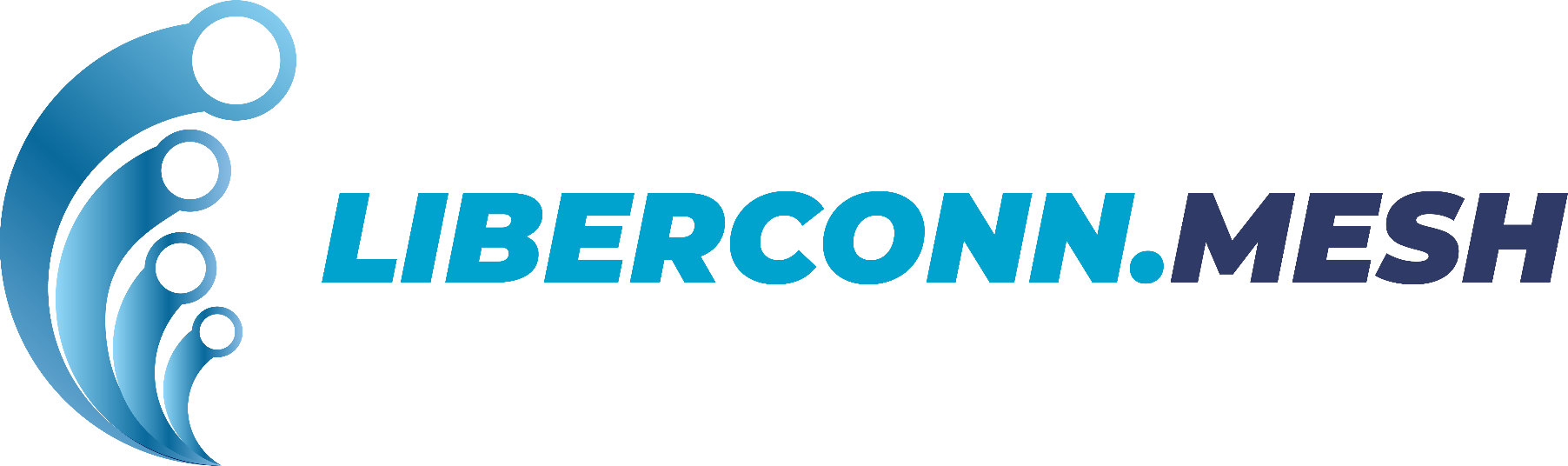 Logo Liberconn Mesh